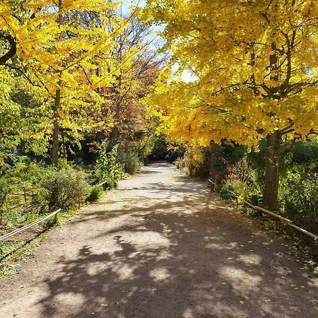 キリアド サントル アンティゴーヌ ホテル